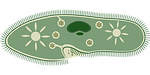 course_image